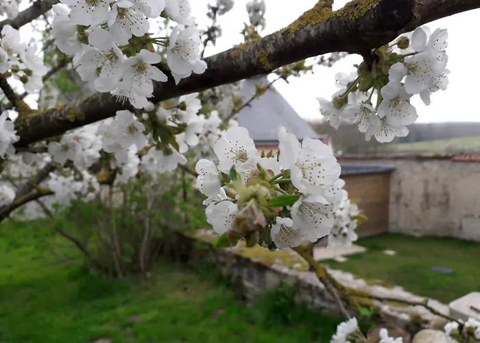 B&B Le Relais Révillon